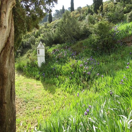 Vila Casa Burgues Beceite Exteriér fotografie